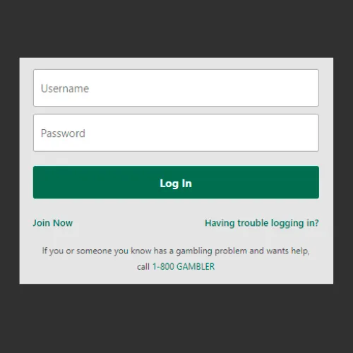 Enter your Bet365 login and password